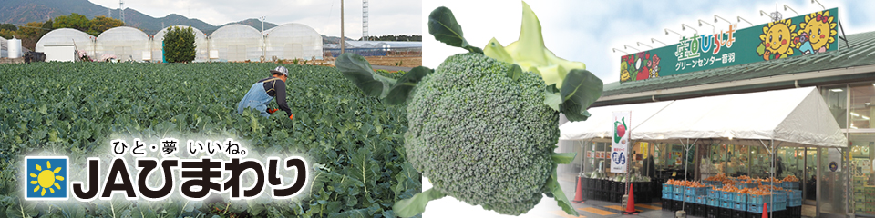 地産地消,季節誌しずく,アイスタイルデザイン,豊川市,JAひまわり,ブロッコリー,季節のやさい,アスパラガス,土井秀絋