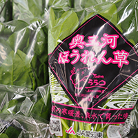 地産地消,季節誌しずく,アイスタイルデザイン,豊橋市,しんみち,しんみちとよはし店,新道,しんみちとよはしかねまるセンター店,豊橋市八百屋,季節の野菜,季節の果物,青果店,奥三河ほうれん草,新城市作手,JA愛知東