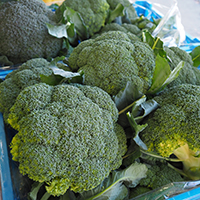 地産地消,季節誌しずく,アイスタイルデザイン,豊橋市,しんみち,しんみちとよはし店,新道,しんみちとよはしかねまるセンター店,豊橋市八百屋,季節の野菜,季節の果物,青果店,豊橋産ブロッコリー