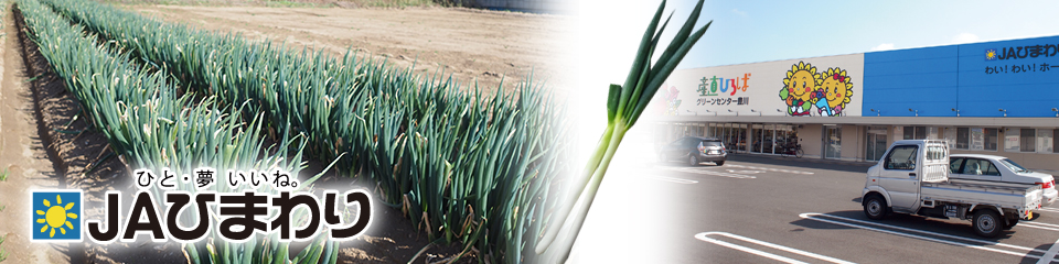 地産地消,季節誌しずく,アイスタイルデザイン,豊川市,JAひまわり,白ねぎ,オクラ,杉本あき